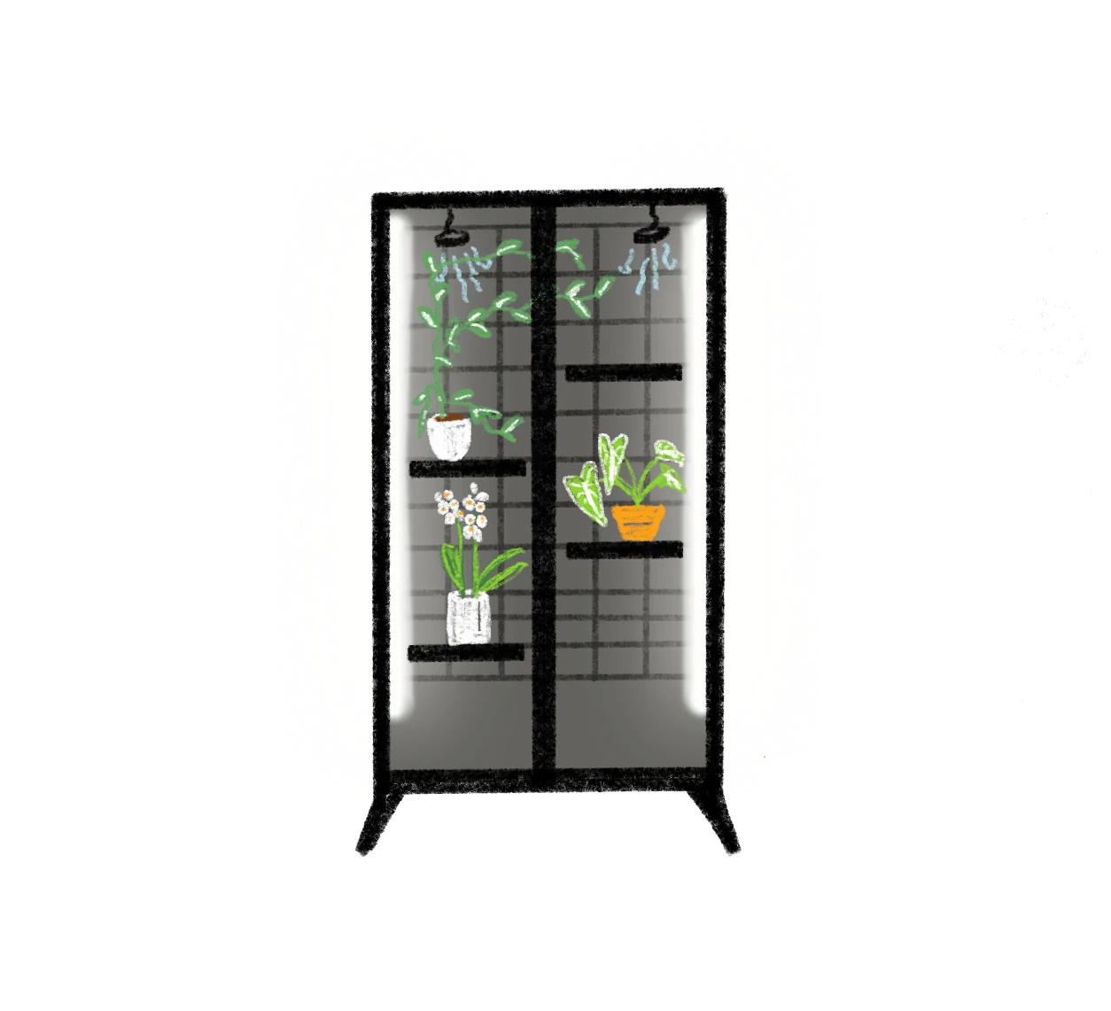 time for the fun part: the plant friends and trinkets move in.