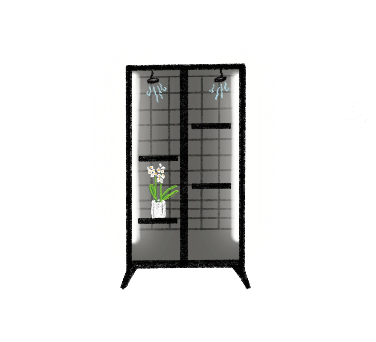 time for the fun part: the plant friends and trinkets move in.