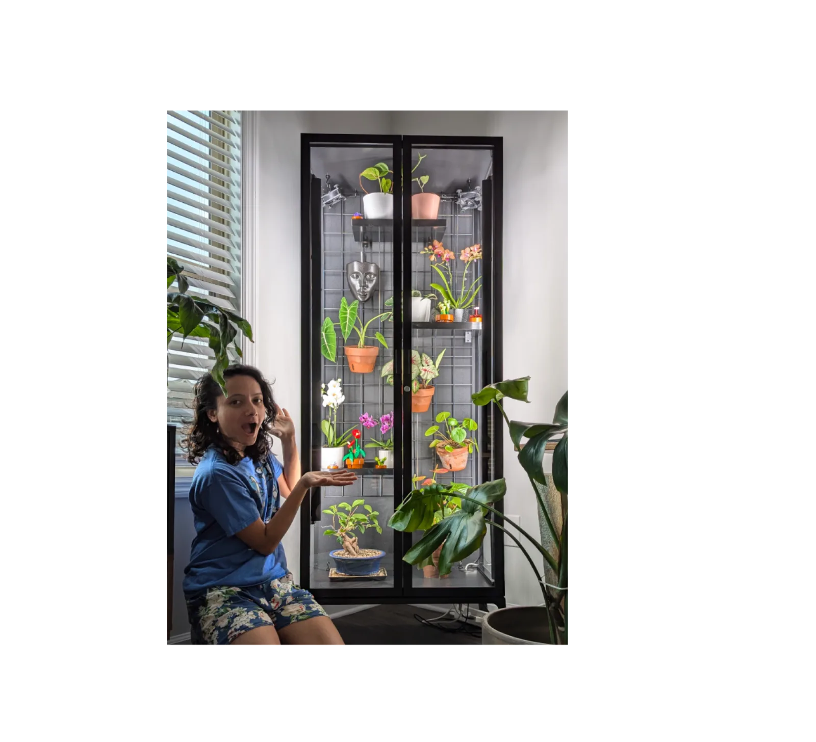 done — a tiny greenhouse, all lit up.