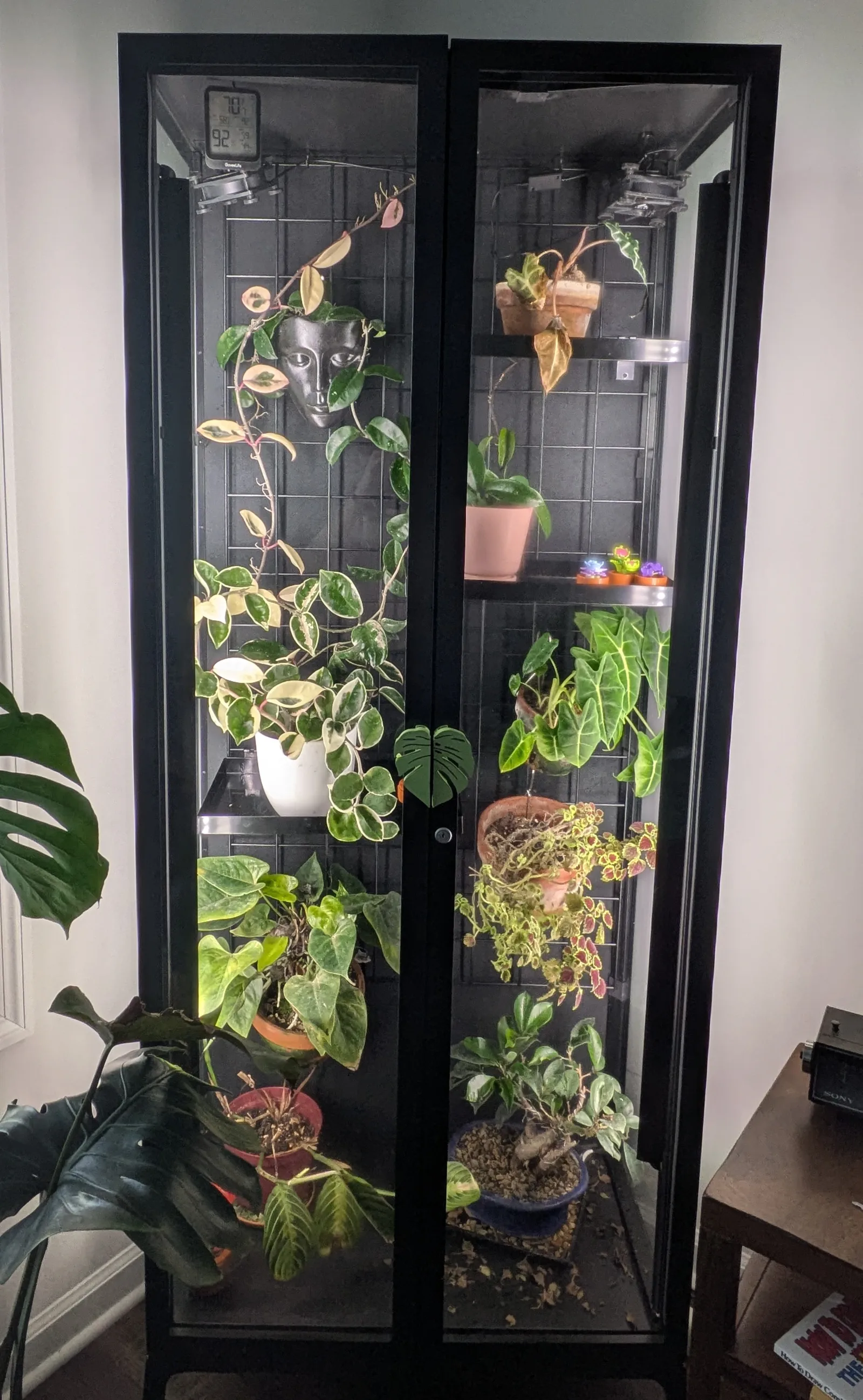 from the past, before i killed some of them :'(