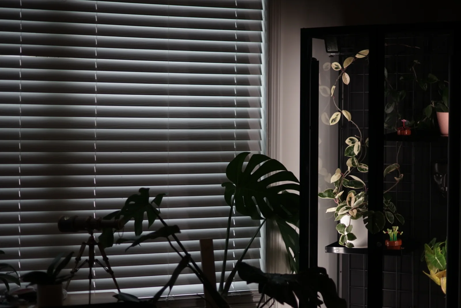 the finished greenhouse cabinet